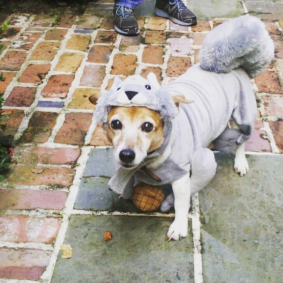 Meet your Posher, Milligan - Picture 1 of 1